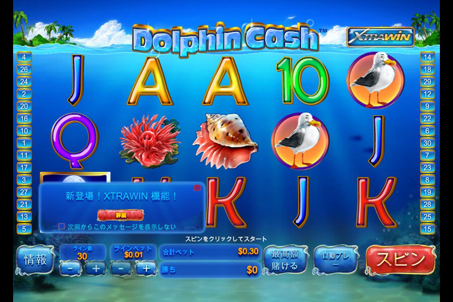Dolphin Cash:image02