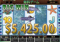 Dolphine Reefで大勝利　賞金5,425.50ドル獲得！