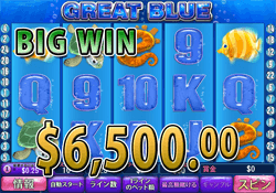 Great Blueで大勝利 賞金6,500.00ドル獲得！