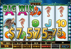Dolphin Reefで大勝利 賞金7,575.75ドル獲得！ 
