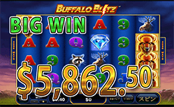 Buffalo Blitz で 大勝利　賞金5,862.50ドル 獲得！
