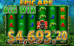 Epic Ape で 大勝利　賞金4,693.20ドル 獲得！