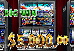 Bermuda Triangle で 大勝利　賞金5,000.00ドル 獲得！