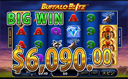 Buffalo Blitz で 大勝利　賞金6,090.00ドル 獲得！