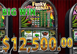 Funky Monkey
 で 大勝利　賞金12,500.00ドル 獲得！