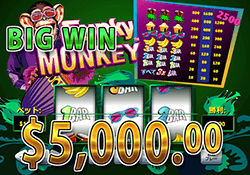 Funky Monkey で大勝利　賞金 5,000.00ドル 獲得！ 
