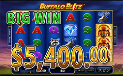Buffalo Blitz で大勝利　賞金 5,400.00ドル 獲得！ 