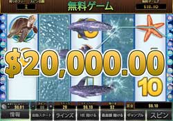 Dolphin Reefをプレイして賞金13,812.50ドル獲得！