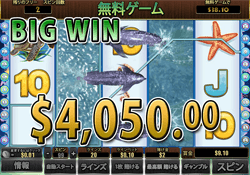 Dolphin Reef で大勝利　賞金 4,050.00ドル 獲得！