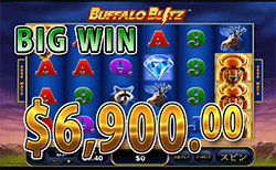 Buffalo Blitz で大勝利　賞金6,900.00ドル 獲得！